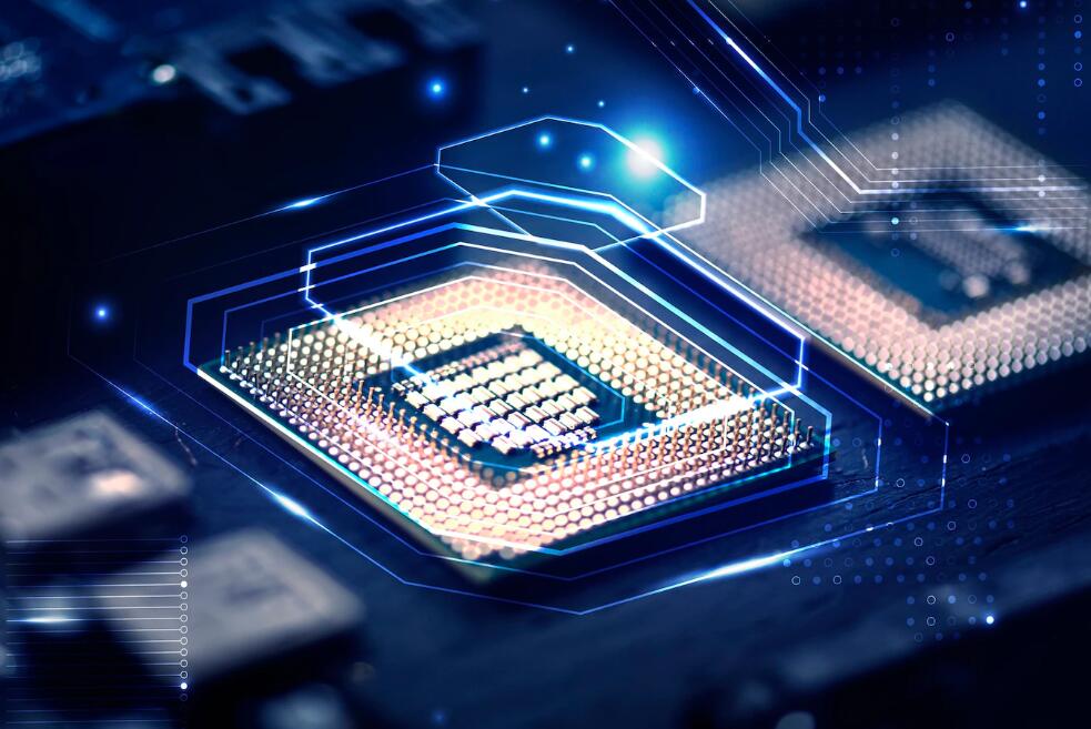 王楚钦陈梦资料 王楚钦和陈梦说话吗